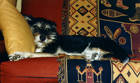 The Late, Great Fuzzo